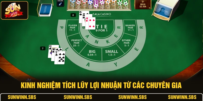 Kinh nghiệm tích lũy lợi nhuận từ các chuyên gia